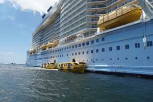 Bay of Islands 31oct2019 (271)